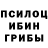 Галлюциногенные грибы Psilocybine cubensis Mr_JxBadMo d