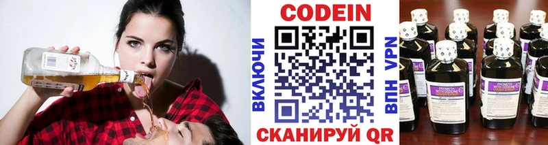 Купить  Петровск-Забайкальский  Кодеин напиток Lean (лин) 