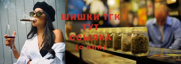 ГАЛЛЮЦИНОГЕННЫЕ ГРИБЫ Горняк