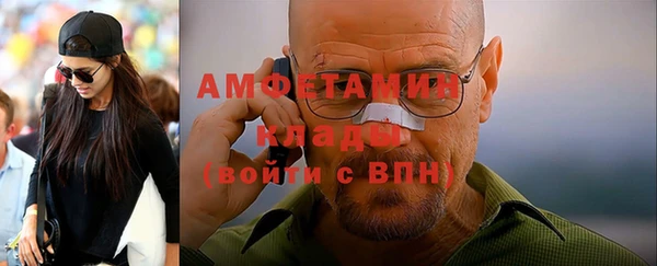 ГАЛЛЮЦИНОГЕННЫЕ ГРИБЫ Горняк