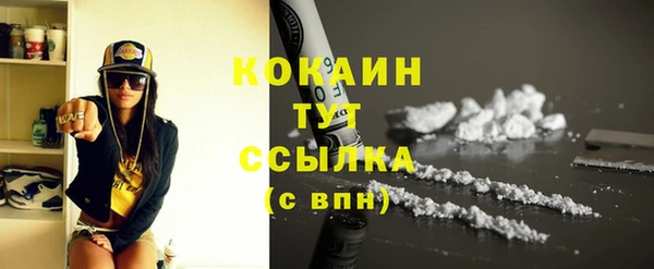 ГАЛЛЮЦИНОГЕННЫЕ ГРИБЫ Горняк