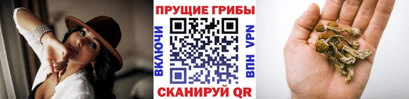 Псилоцибиновые грибы GOLDEN TEACHER Купить Петровск-Забайкальский